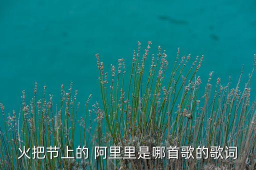 火把节上的 阿里里是哪首歌的歌词