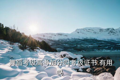 舞蹈考什么有用吗,考舞蹈艺校一般要具备哪些条件