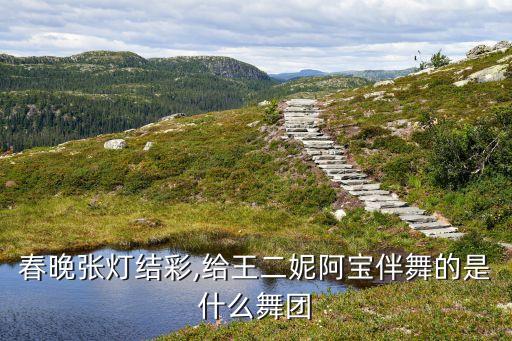 春晚张灯结彩,给王二妮阿宝伴舞的是什么舞团