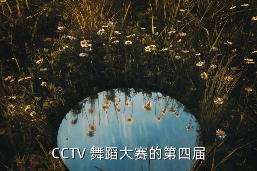 CCTV 舞蹈大赛的第四届