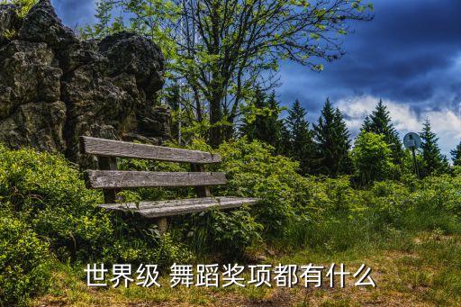 世界级 舞蹈奖项都有什么