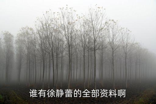 谁有徐静蕾的全部资料啊