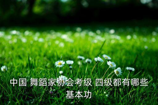 技巧组合四级舞蹈视频下载