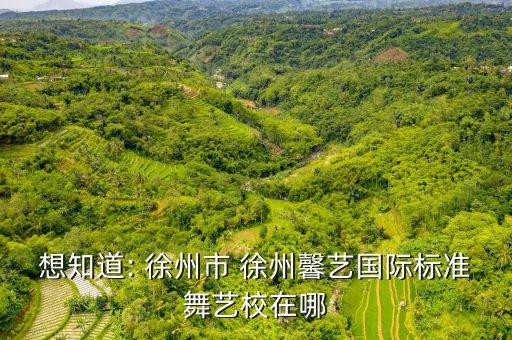 徐州舞蹈老师