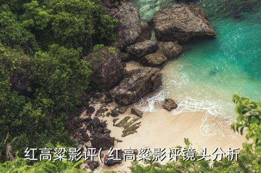 红高粱九儿舞蹈教学视频,舞蹈红高粱九儿完整版