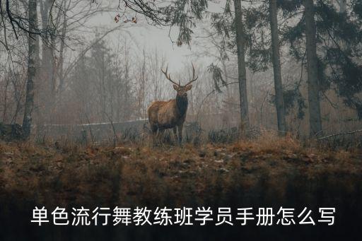 单色舞蹈个人