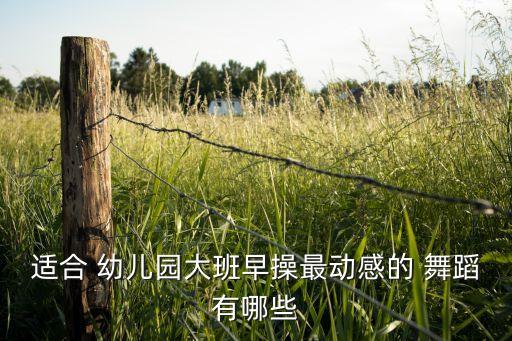 适合 幼儿园大班早操最动感的 舞蹈有哪些