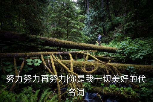 努力努力再努力|你是我一切美好的代名词