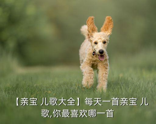 【亲宝 儿歌大全】每天一首亲宝 儿歌,你最喜欢哪一首