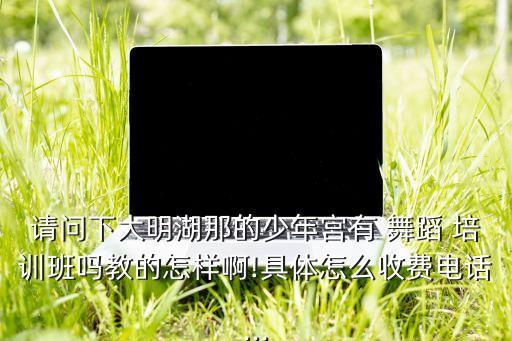 请问下大明湖那的少年宫有 舞蹈 培训班吗教的怎样啊!具体怎么收费电话...