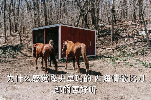 为什么感觉降央卓玛的 西海情歌比刀郎的更好听
