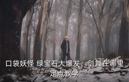 口袋妖怪 绿宝石大爆发、剑舞在哪里定点教学