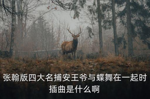 张翰版四大名捕安王爷与蝶舞在一起时插曲是什么啊