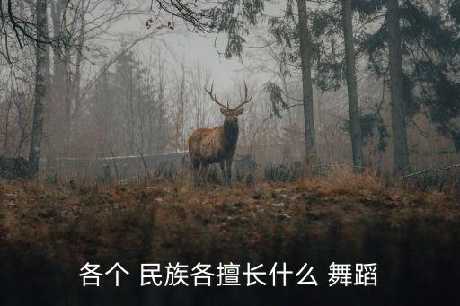 各个 民族各擅长什么 舞蹈