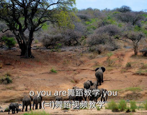 who you are舞蹈教学,you(=i)舞蹈视频教学