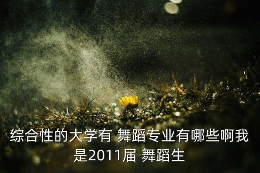 综合性的大学有 舞蹈专业有哪些啊我是2011届 舞蹈生