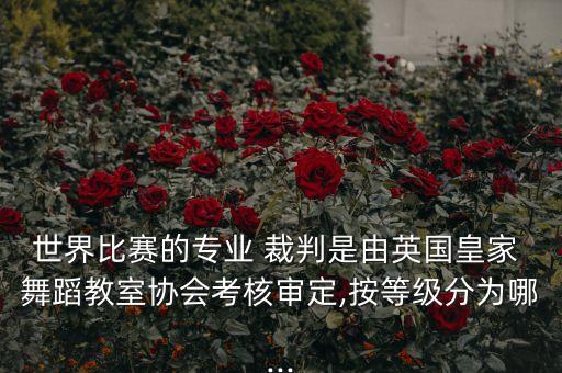 世界比赛的专业 裁判是由英国皇家 舞蹈教室协会考核审定,按等级分为哪...