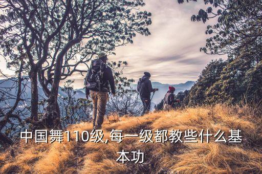 中国舞110级,每一级都教些什么基本功