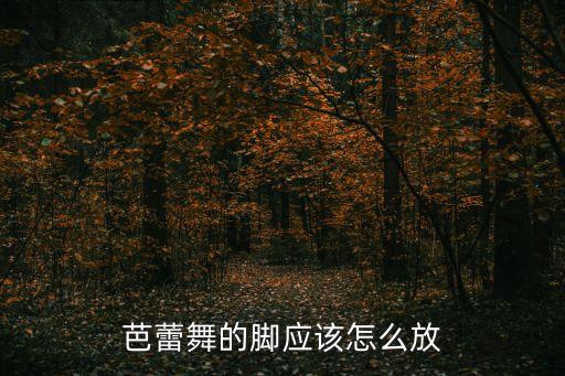 八级舞蹈一位擦地,舞蹈八级考级舞蹈我的童年