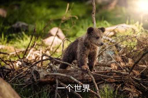 青青草地儿童舞蹈