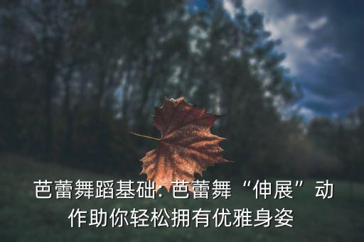 芭蕾舞开场舞蹈视频,幼儿园芭蕾舞舞蹈视频