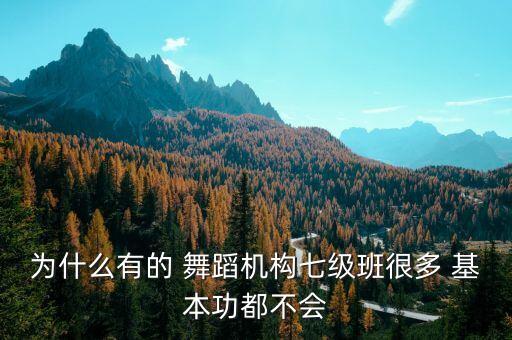 为什么有的 舞蹈机构七级班很多 基本功都不会