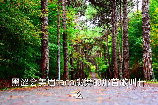 黑涩会美眉taco跳舞的那首歌叫什么