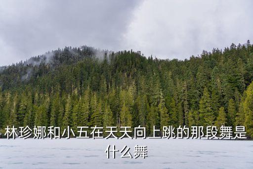 林珍娜和小五在天天向上跳的那段舞是什么舞