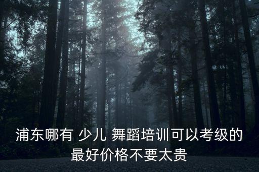 浦东哪有 少儿 舞蹈培训可以考级的最好价格不要太贵