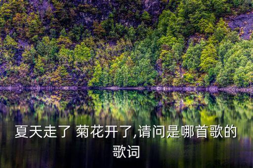 夏天走了 菊花开了,请问是哪首歌的歌词