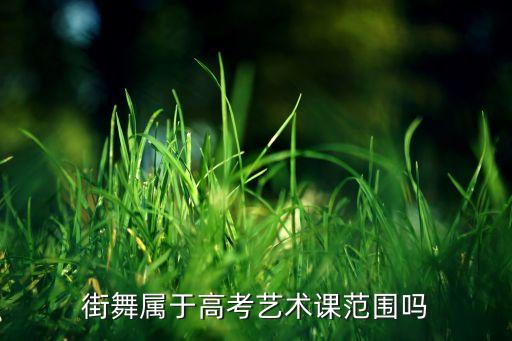 四川音乐学院体育舞蹈