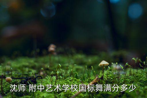 沈师 附中艺术学校国标舞满分多少