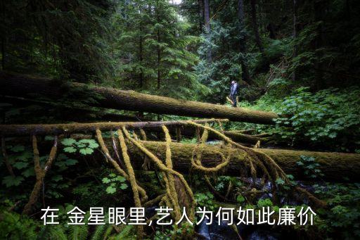金星的舞蹈视频,舞蹈家金星的舞蹈视频