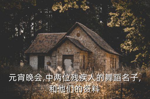 元宵晚会,中两位残疾人的舞蹈名子,和他们的资料