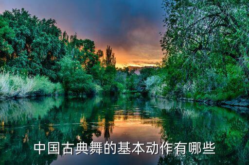 中国古典舞的基本动作有哪些