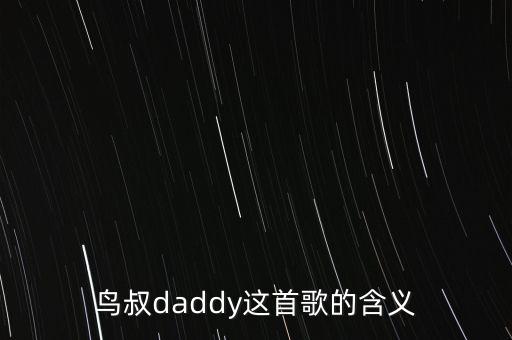 鸟叔daddy这首歌的含义
