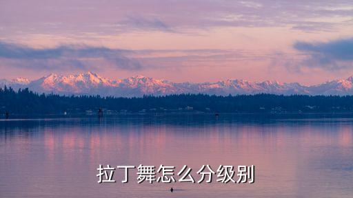 拉丁舞怎么分级别
