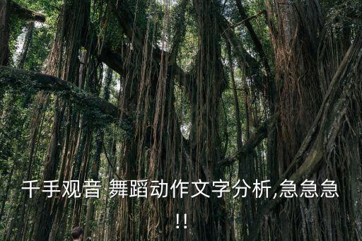 千手观音 舞蹈动作文字分析,急急急!!
