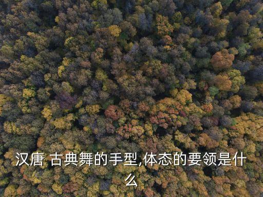 舞蹈中古典手位组合,古典舞蹈手位名称及图片