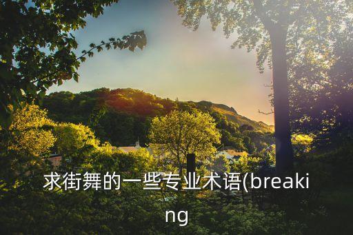求街舞的一些专业术语(breaking