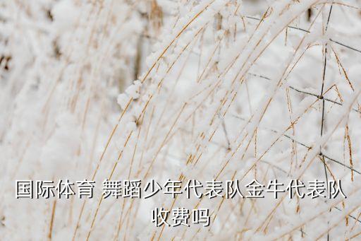 国际体育 舞蹈少年代表队金牛代表队收费吗