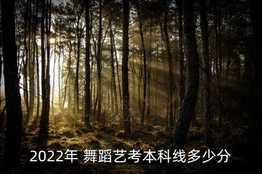 2022年 舞蹈艺考本科线多少分