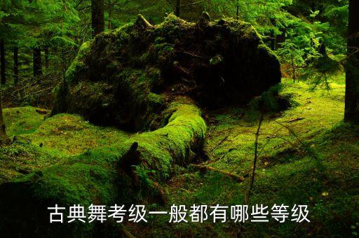 古典舞考级一般都有哪些等级