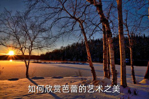 如何欣赏芭蕾的艺术之美