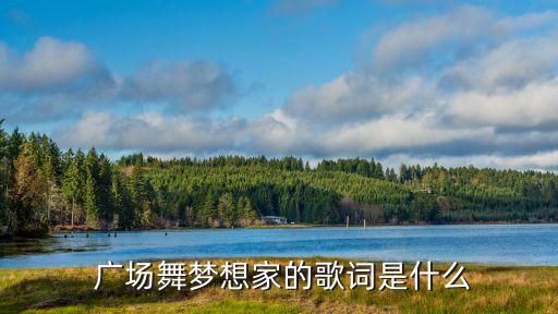  广场舞梦想家的歌词是什么