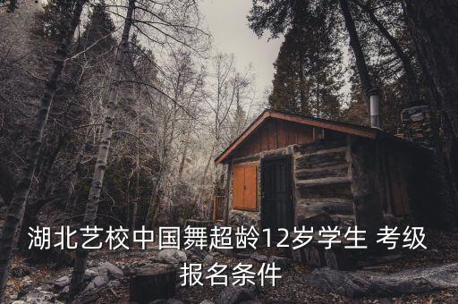 湖北艺校中国舞超龄12岁学生 考级 报名条件