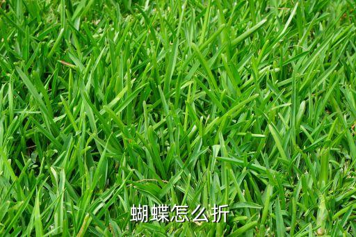  蝴蝶怎么折