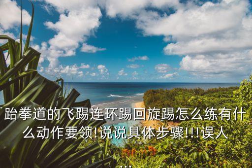 跆拳道的飞踢连环踢回旋踢怎么练有什么动作要领!说说具体步骤!!!误人...