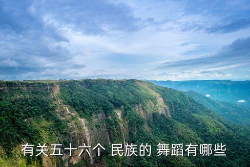 有关五十六个 民族的 舞蹈有哪些