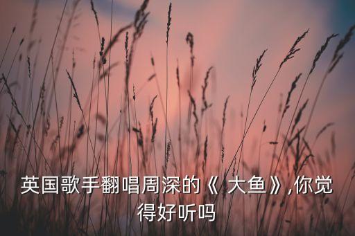 英国歌手翻唱周深的《 大鱼》,你觉得好听吗